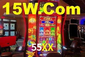 Premium Interface 55XX