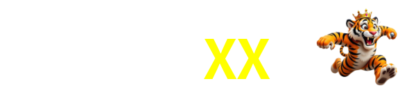 Logo da 55XX
